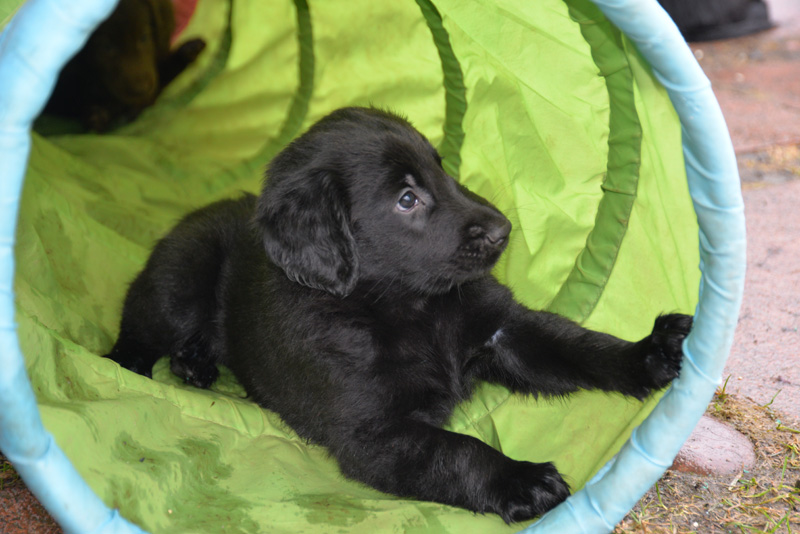 [Image: 260227%209.jpg]