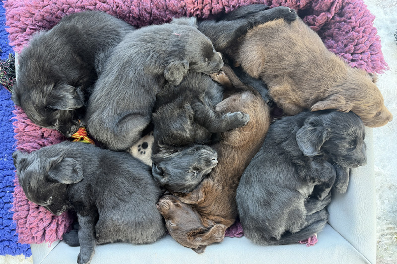 [Image: 260228%201.jpg]