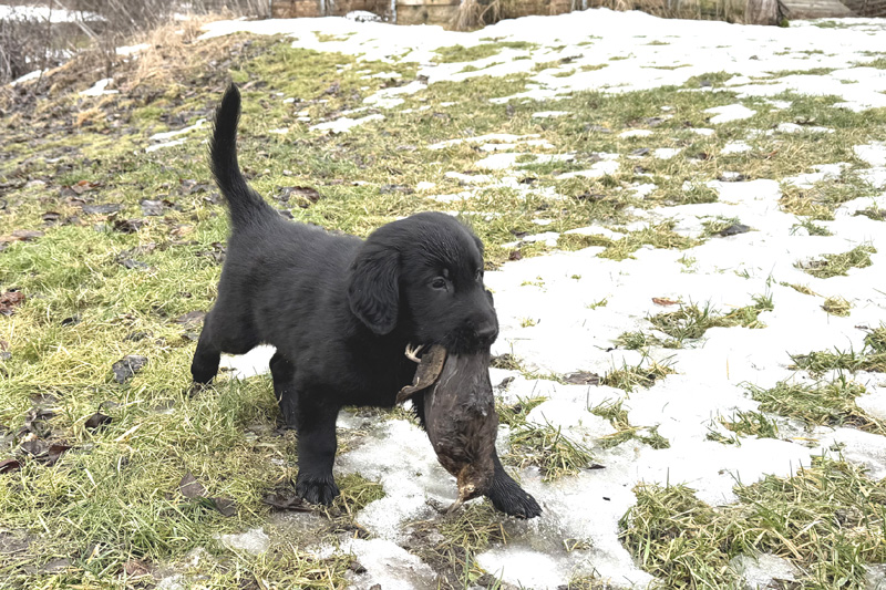 [Image: 260228%202.jpg]