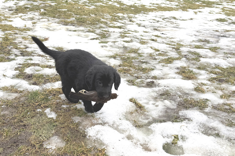 [Image: 260228%203.jpg]