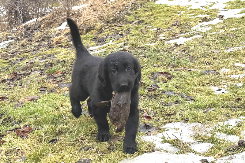 [Image: 260228%204.jpg]