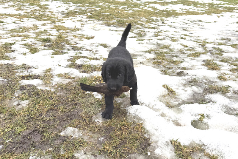 [Image: 260228%205.jpg]