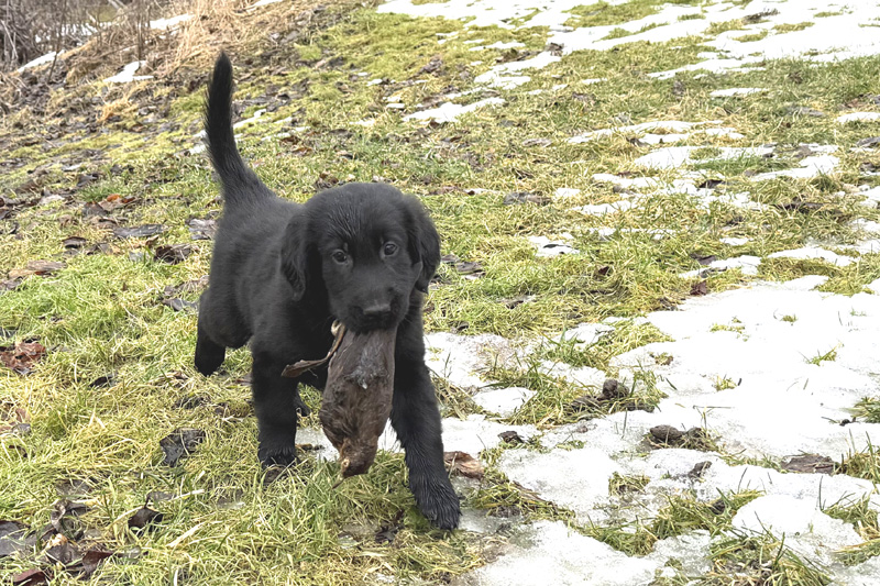 [Image: 260228%206.jpg]