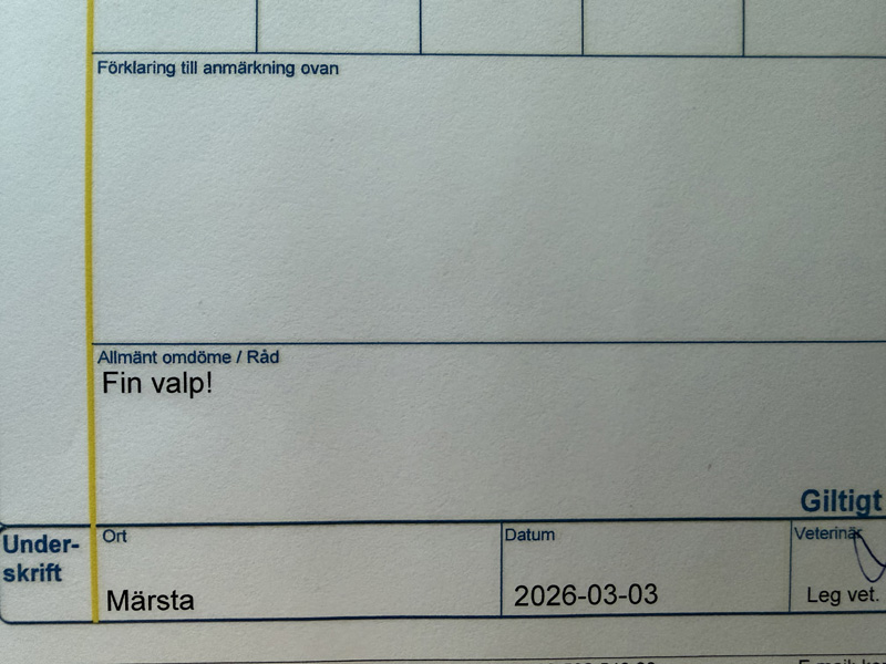 [Image: 260303%201.jpg]