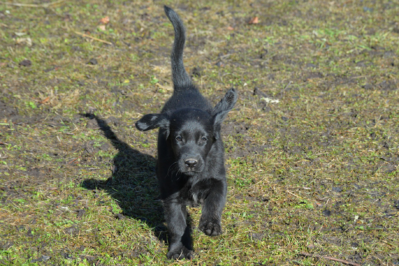 [Image: 260304%201.jpg]