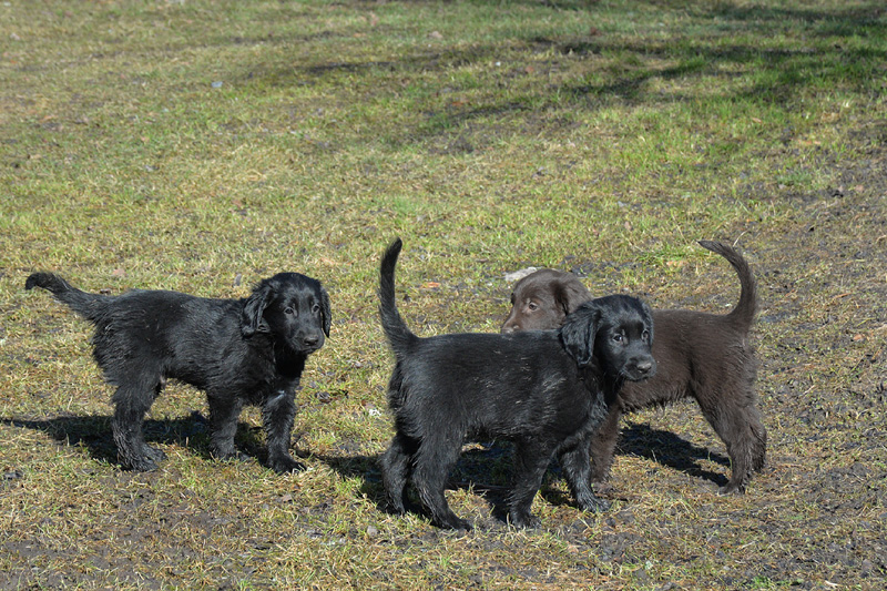 [Image: 260304%2010.jpg]