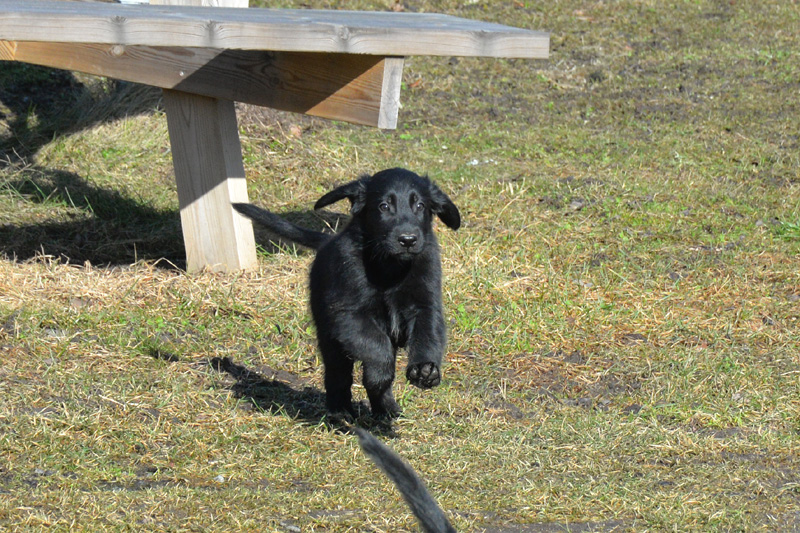 [Image: 260304%2011.jpg]