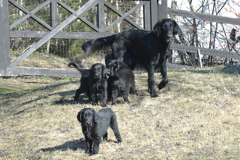 [Image: 260304%2012.jpg]