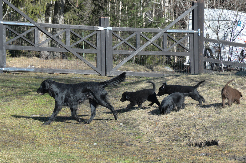 [Image: 260304%2013.jpg]