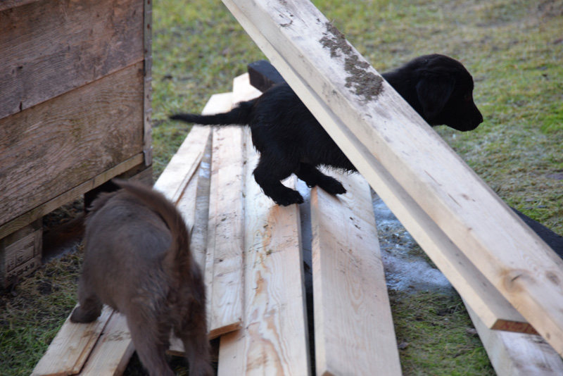 [Image: 260304%2014.jpg]