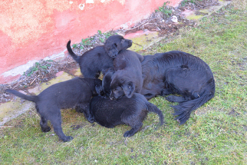 [Image: 260304%2015.jpg]