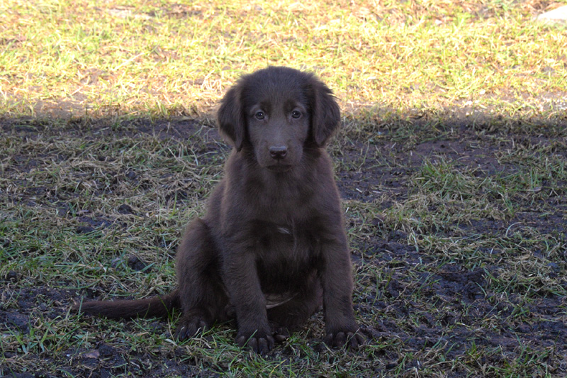 [Image: 260304%2016.jpg]