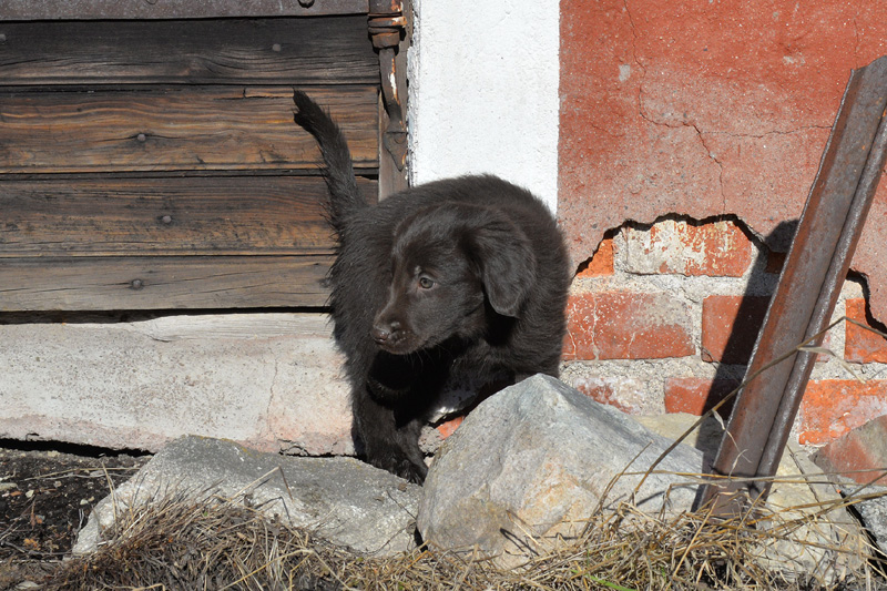 [Image: 260304%2018.jpg]