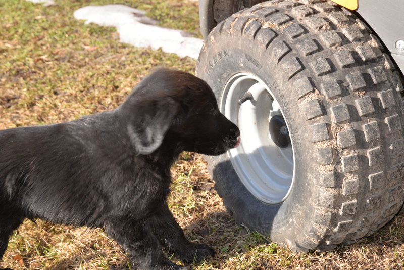 [Image: 260304%2019.jpg]