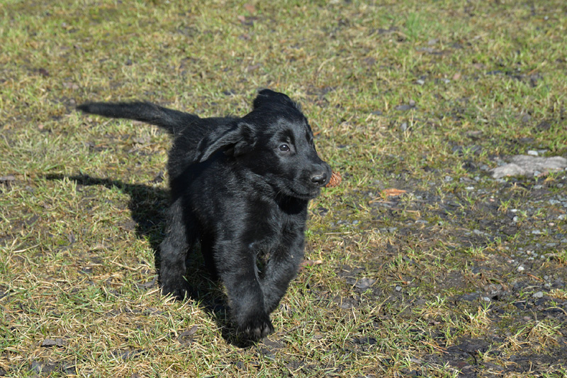 [Image: 260304%202.jpg]