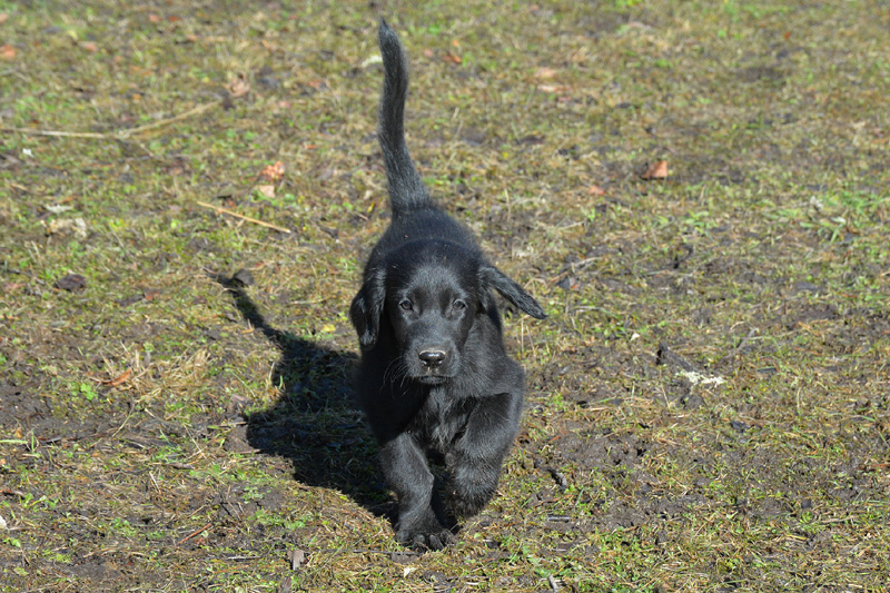 [Image: 260304%2020.jpg]