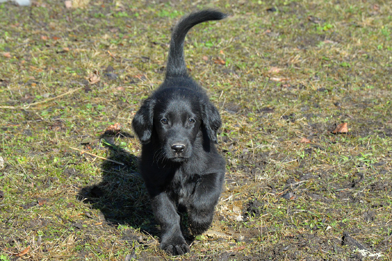 [Image: 260304%2021.jpg]