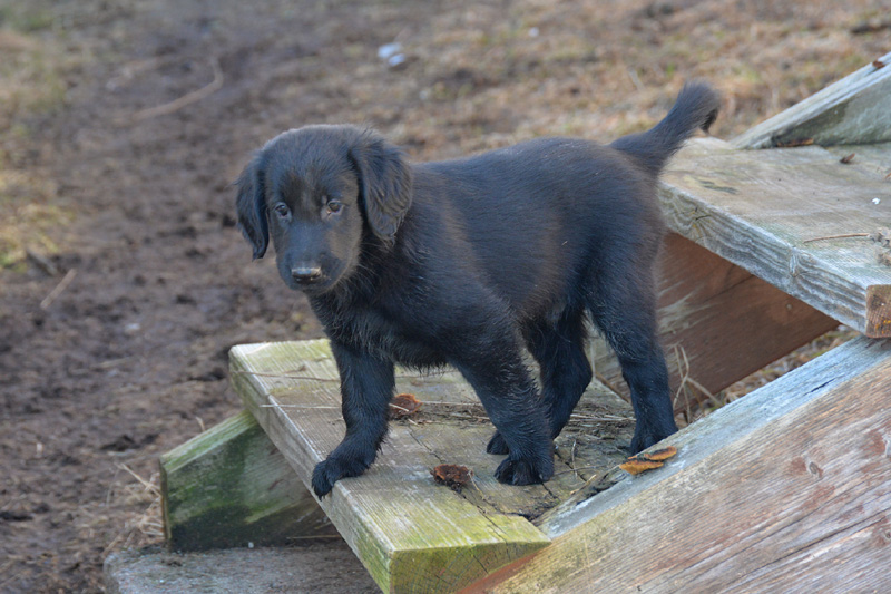 [Image: 260304%2022.jpg]