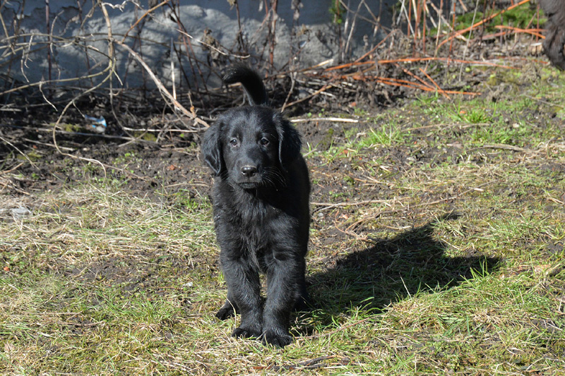 [Image: 260304%2023.jpg]