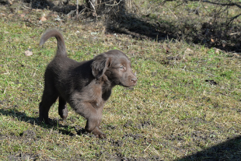 [Image: 260304%2024.jpg]