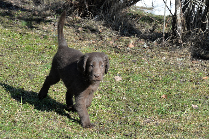 [Image: 260304%2025.jpg]