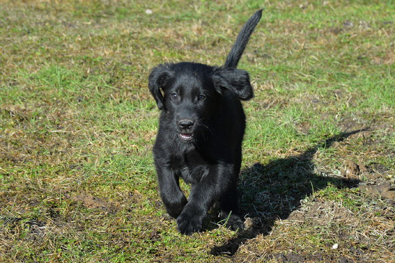 [Image: 260304%203.jpg]