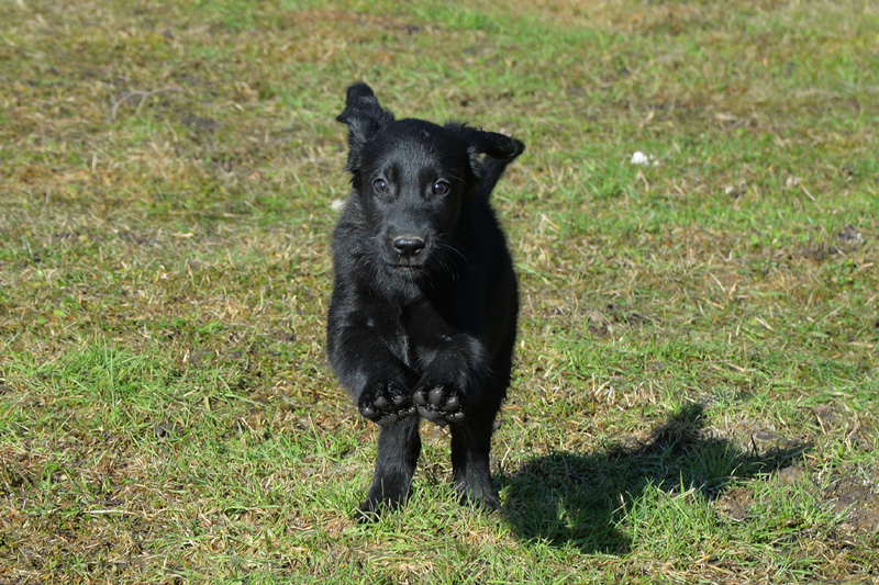 [Image: 260304%204.jpg]