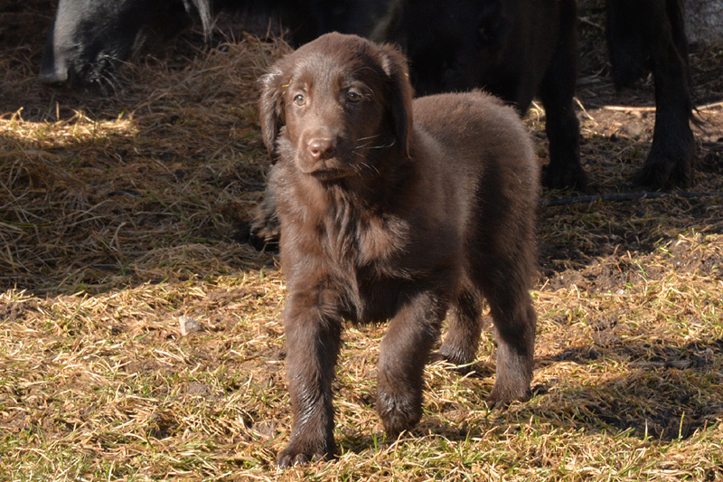 [Image: 260304%205.jpg]