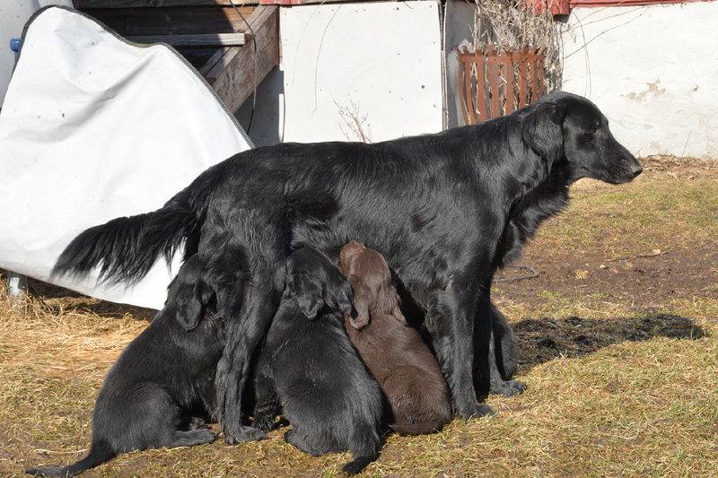 [Image: 260304%206.jpg]