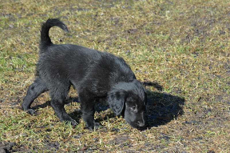 [Image: 260304%207.jpg]