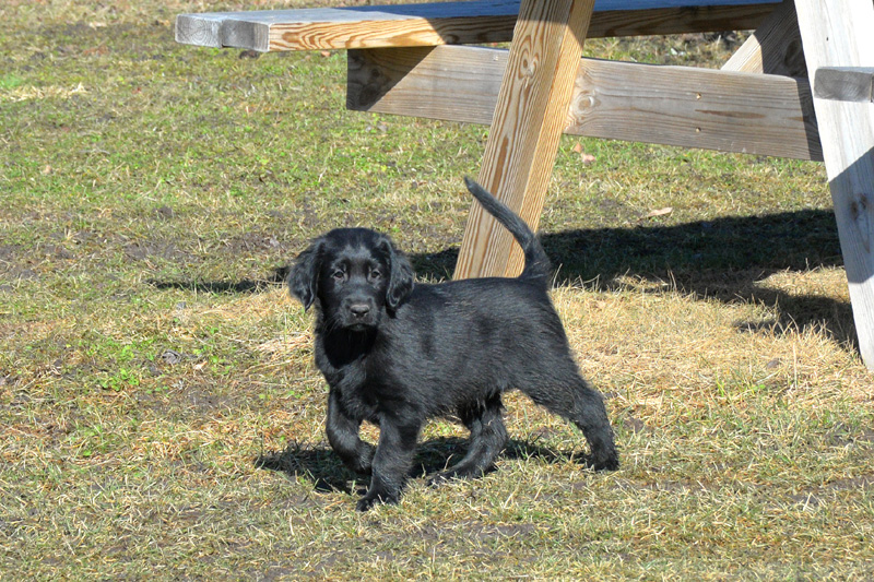 [Image: 260304%208.jpg]