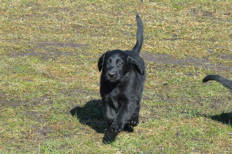 [Image: 260304%209.jpg]