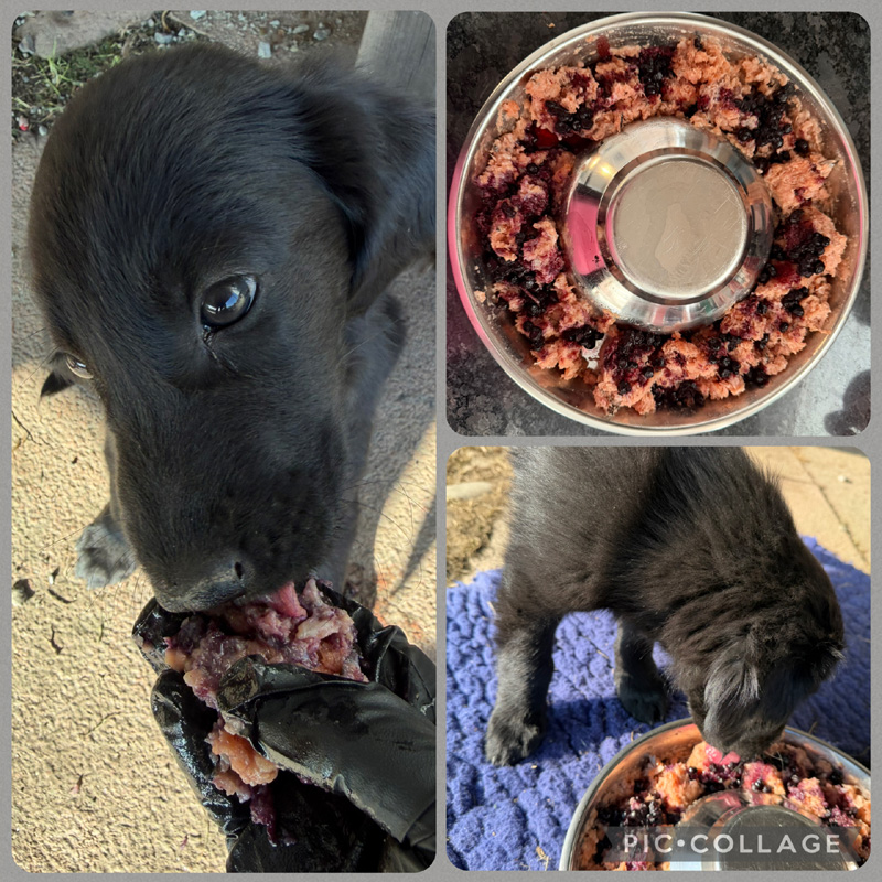 [Image: 260306%201.jpg]