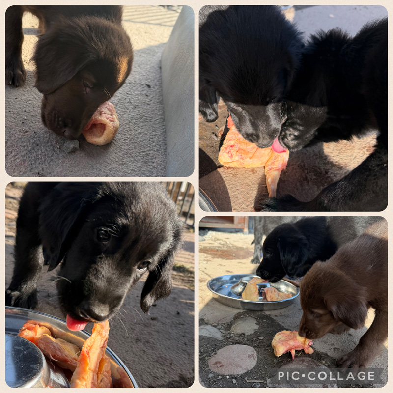 [Image: 260310%201.jpg]