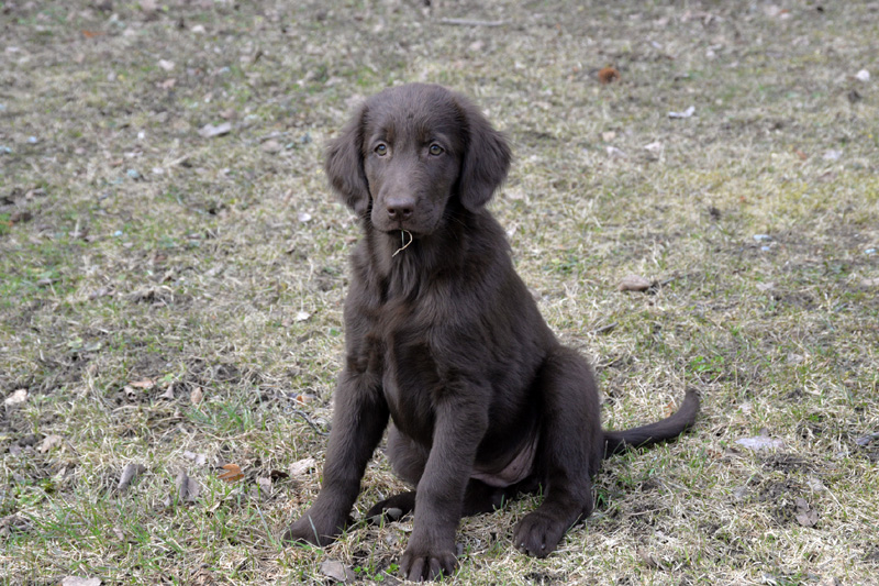 [Image: 260321%201.jpg]