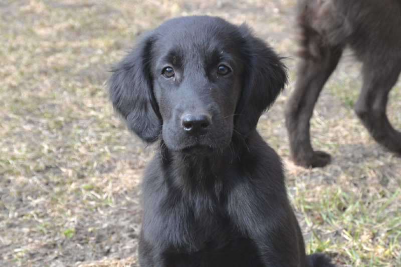 [Image: 260321%202.jpg]