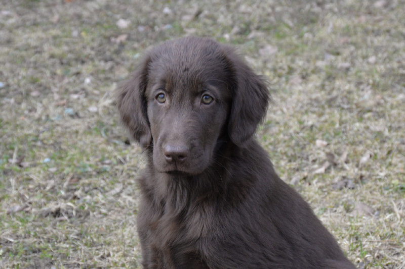 [Image: 260321%203.jpg]