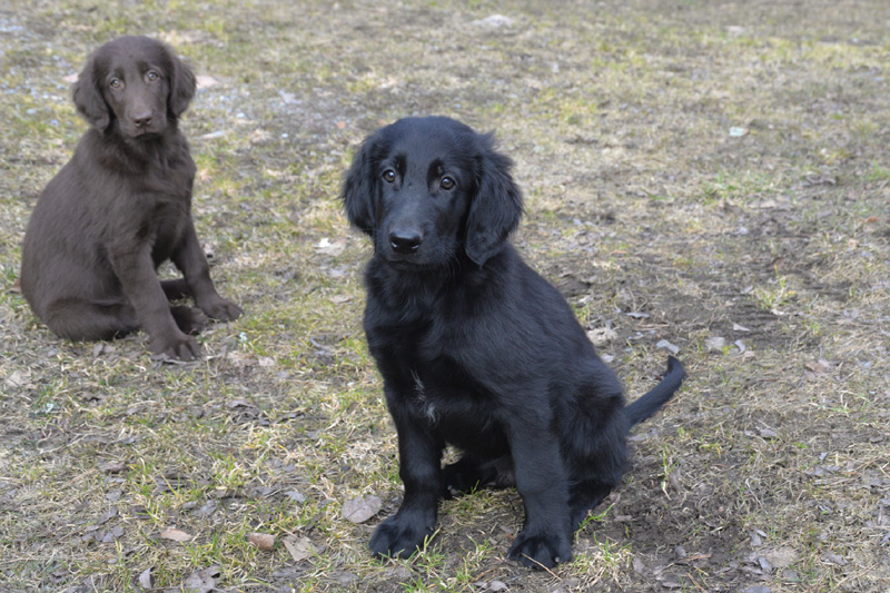 [Image: 260321%204.jpg]