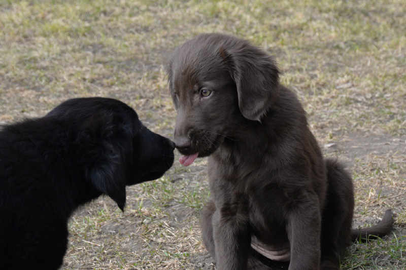 [Image: 260321%205.jpg]