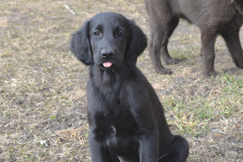 [Image: 260321%206.jpg]