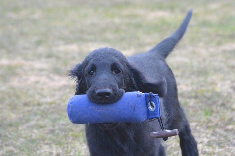 [Image: 260321%20f0.jpg]