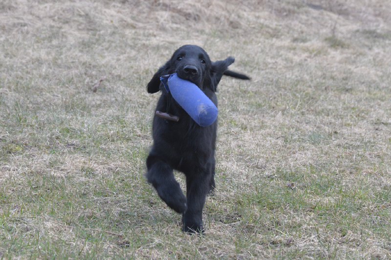 [Image: 260321%20f00.jpg]