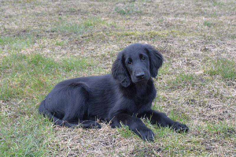 [Image: 260321%20f000.jpg]