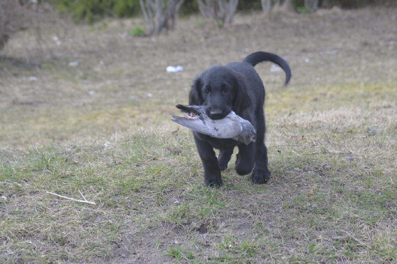 [Image: 260321%20f2.jpg]