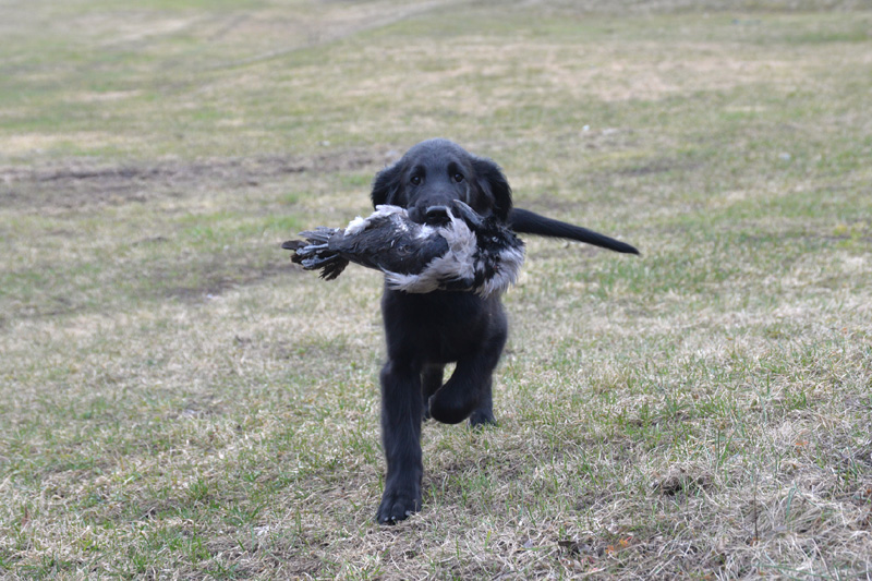 [Image: 260321%20f3.jpg]