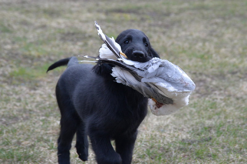 [Image: 260321%20f4.jpg]