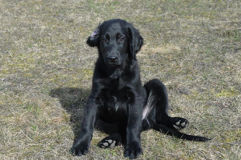 [Image: 260329%20maskot.jpg]