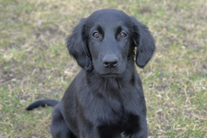 [Image: 260329%20yrvader%200.jpg]